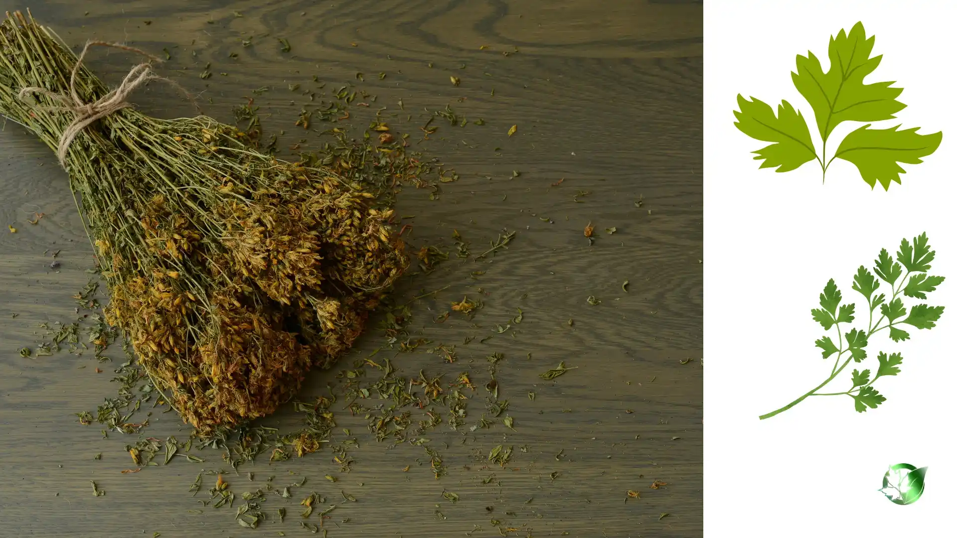 Dried Parsley quality, format, and packaging should be matched to the buyer’s target application.